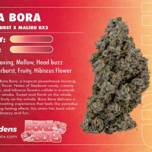 Bora Bora