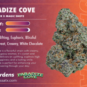 Paradise Cove