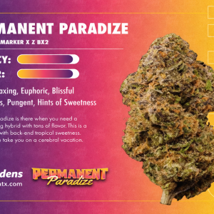 Permanent Paradise