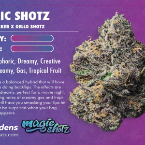 Magic Shotz