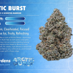 Arctic Burst