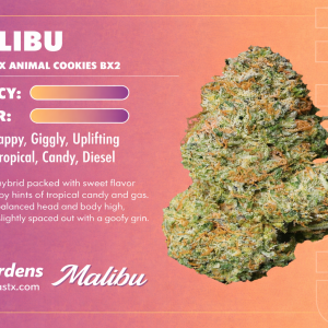 Malibu