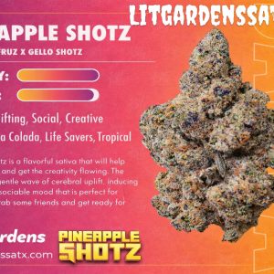 Pineapple Shotz
