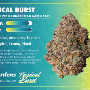 Tropical Burst