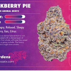 Blackberry Pie